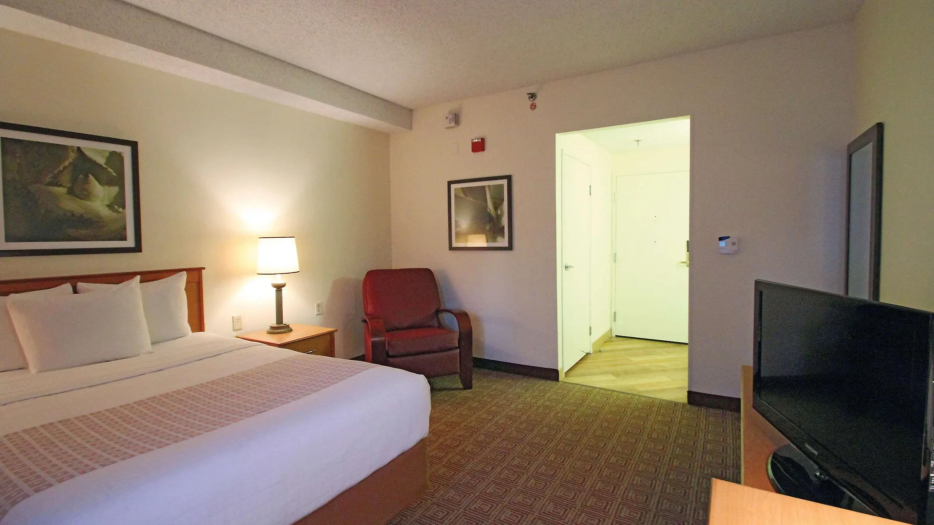 Hotel La Quinta By Wyndham Orlando South Williamsburg