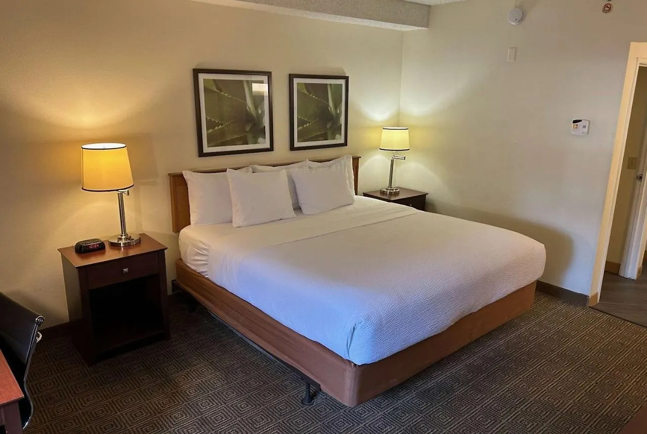 Hotel La Quinta By Wyndham Orlando South Williamsburg