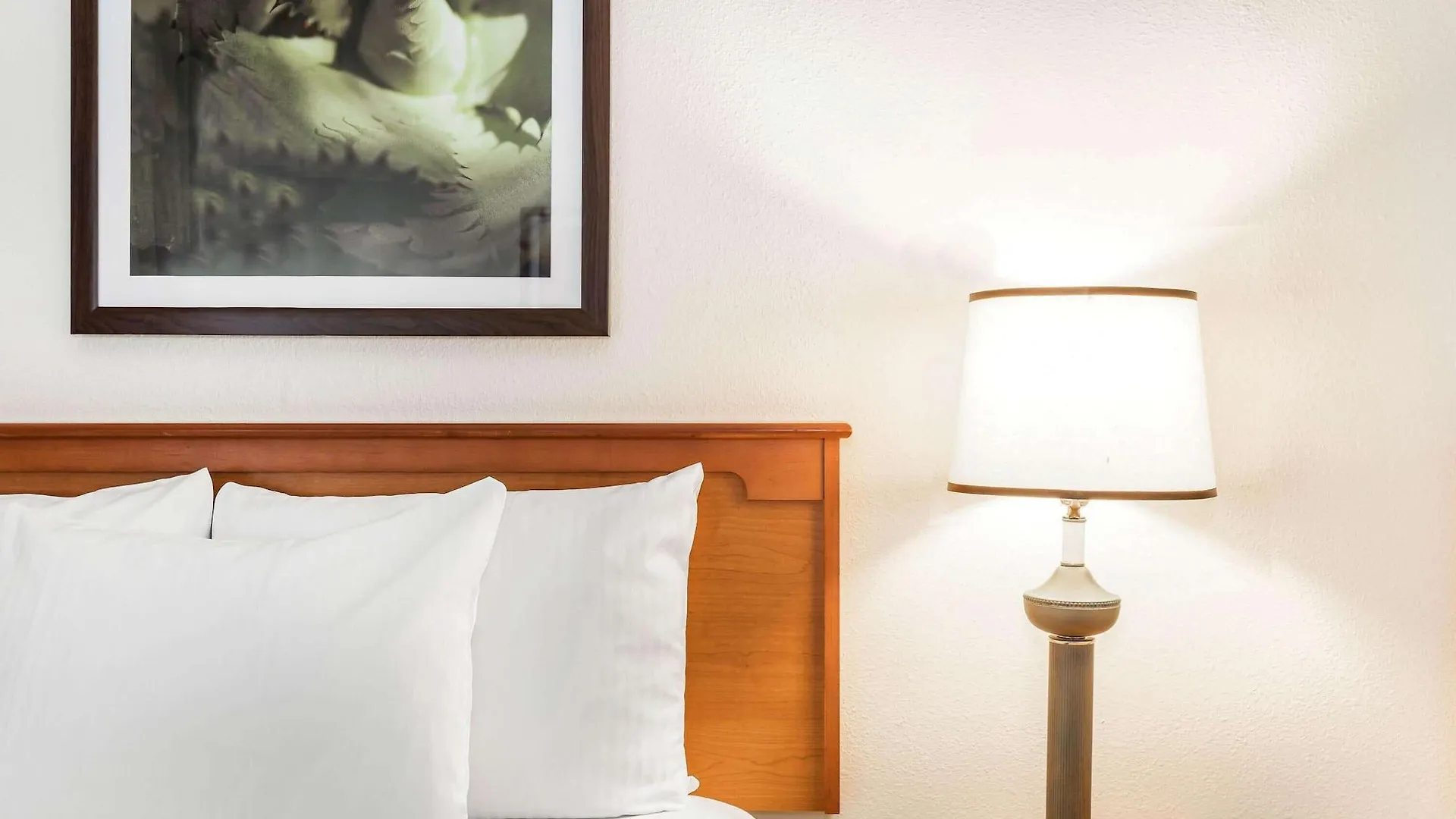 Hotel La Quinta By Wyndham Orlando South Williamsburg